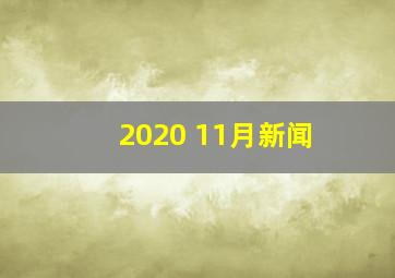 2020 11月新闻